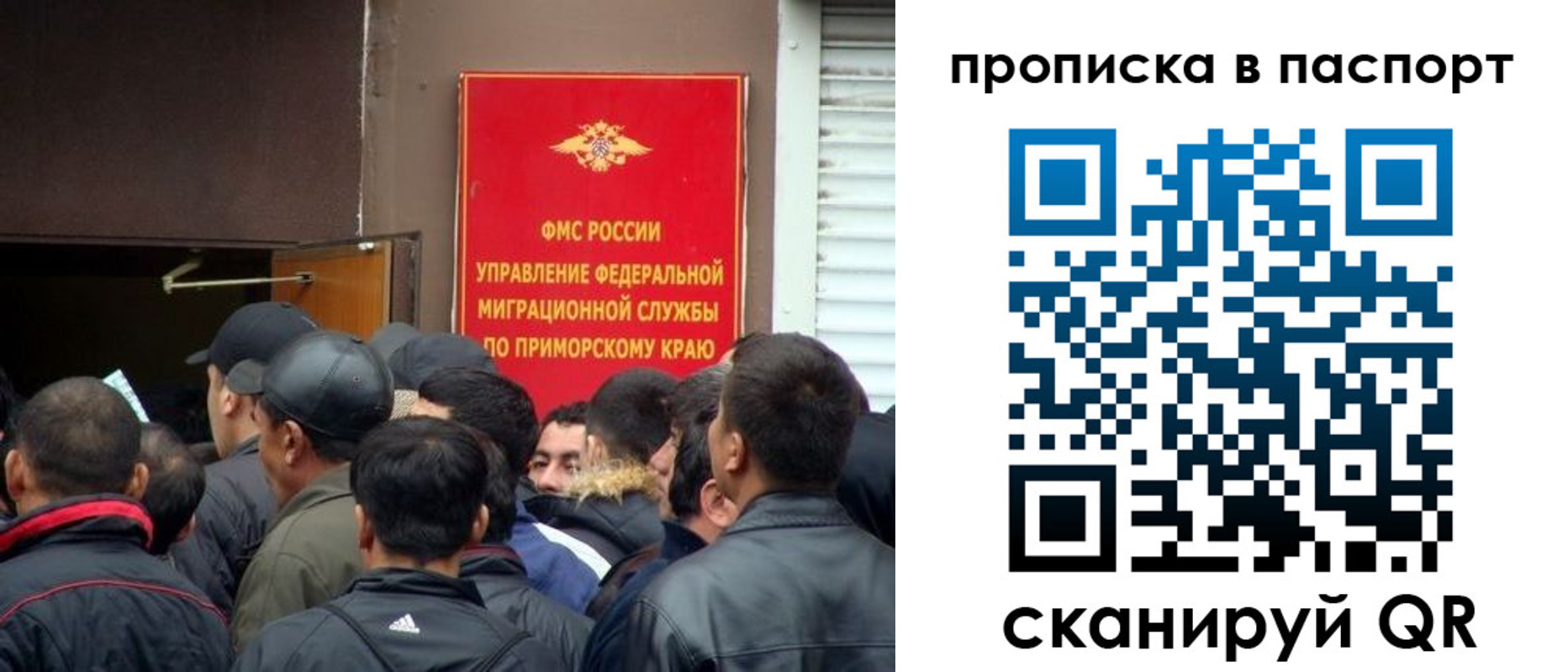прописка поиск в Щиграх