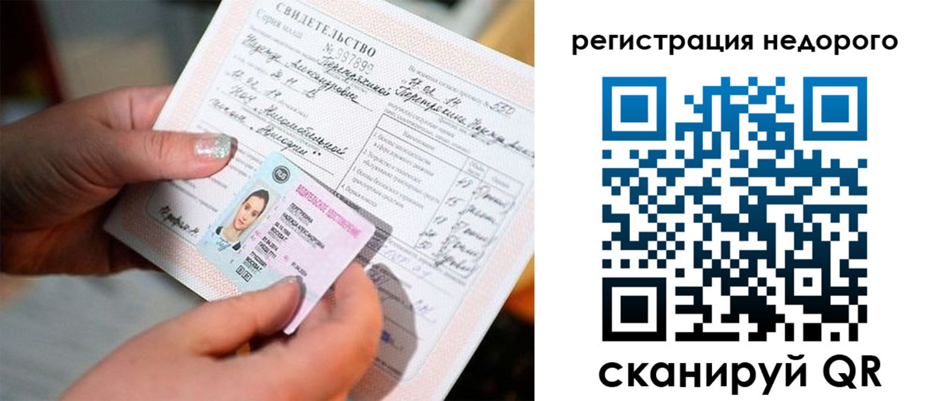 прописка гарантия в Щиграх